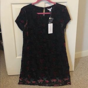 NWT Carolina Belle Shift Dress